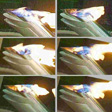 The effect of wind on the torch flame. Courtesy Adelaide University Turbulence, Energy and Combustion Group. Click to view enlarged image