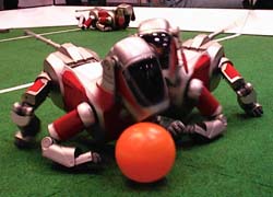 Images from robocup